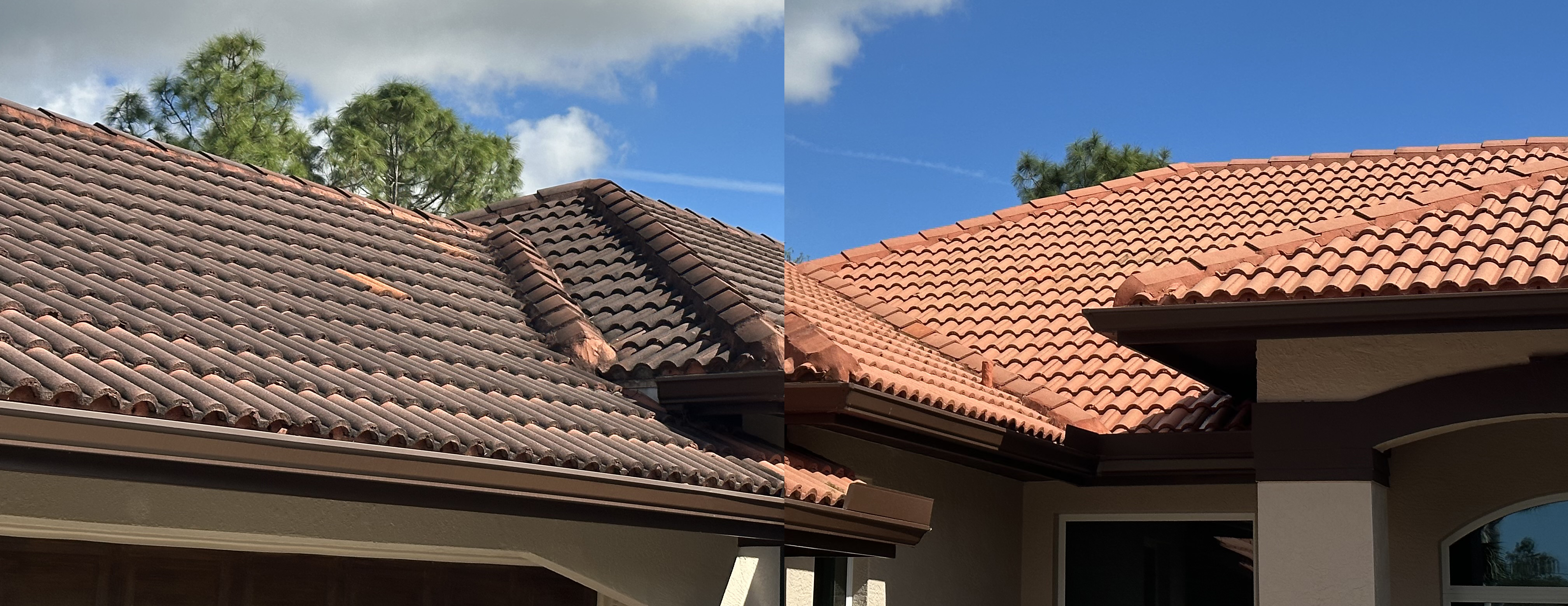 Roof cleaning before and after